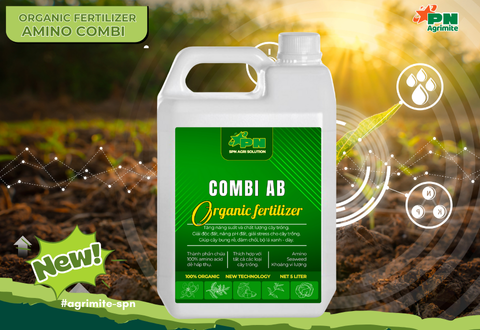 amino combi