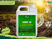 amino combi