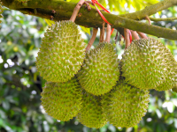 banner web liên hệ