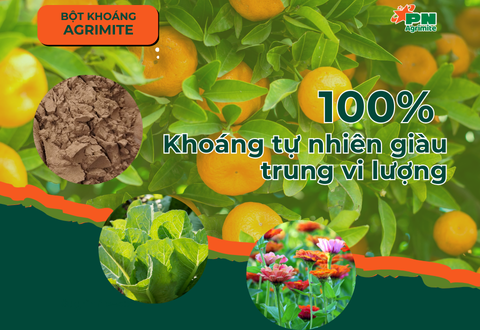 khoang agrimite bot sp3